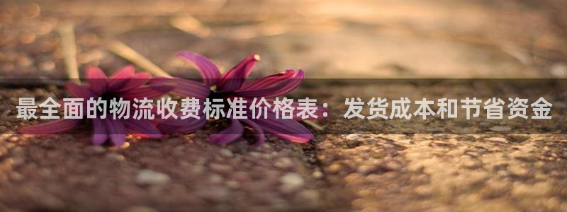 28圈.ccmo：最全面的物流收费标