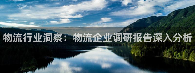 28圈防失联网址：物流行业洞察：物流