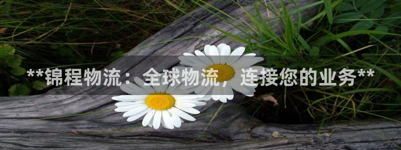 28圈注册登录：**锦程物流：全球物