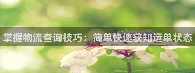 28圈.ccm官网