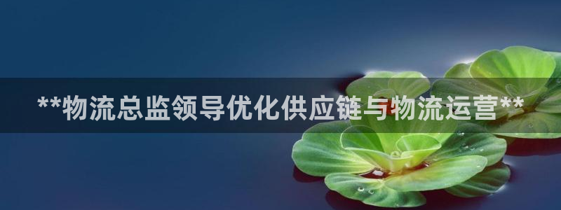 28圈官方网站预测：**物流总监领导