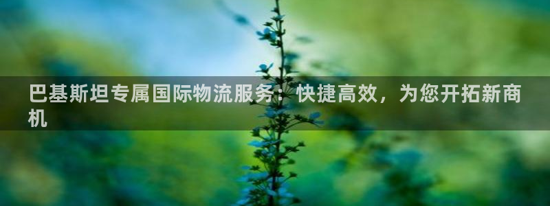 28圈是什么软件：巴基斯坦专属国际物