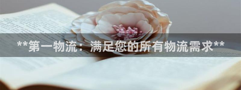 28圈怎么下载不了：**第一物流：满