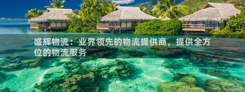 28圈官网链接：盛辉物流：业界领先的
