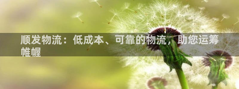28圈玩法