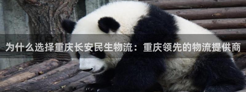 28圈免费：为什么选择重庆长安民生物