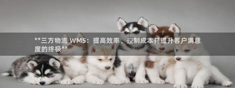 28圈游戏官网版：**三方物流 WM
