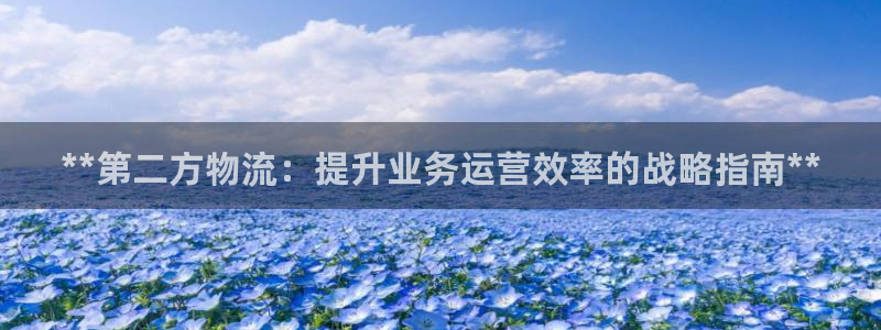 28圈注册网站：**第二方物流：提升