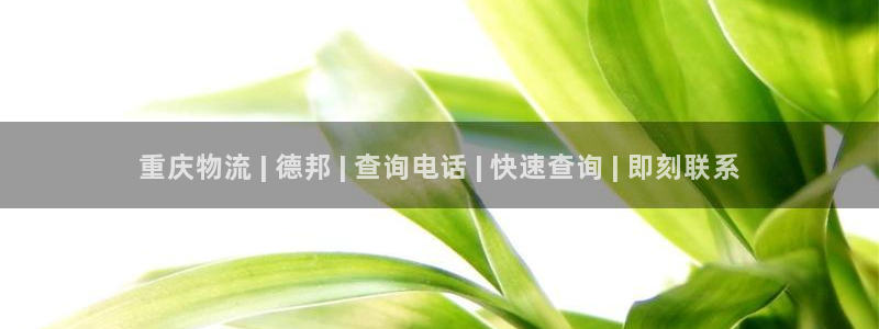 28圈官网版下载：重庆物流 | 德邦