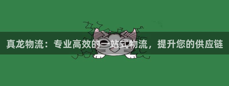 28圈加拿大走势：真龙物流：专业高效
