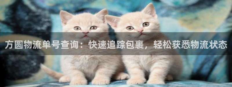 28圈注册网页：方圆物流单号查询：快