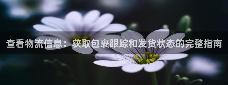 28圈pc预测：查看物流信息：获取包