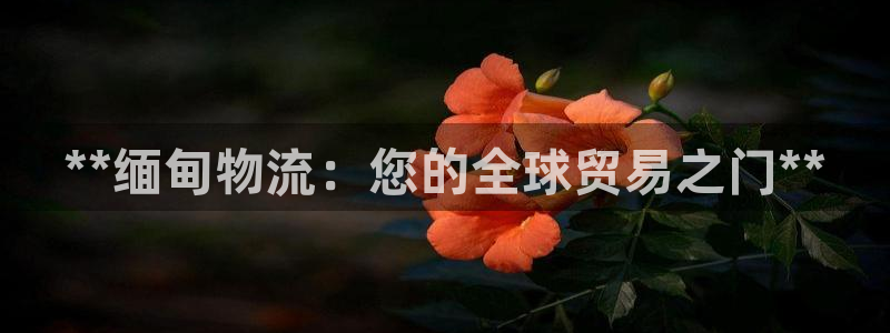 28圈退款教程：**缅甸物流：您的全