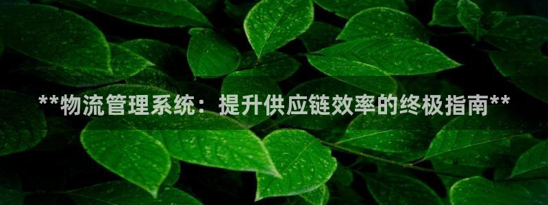 28圈大神预测：**物流管理系统：提