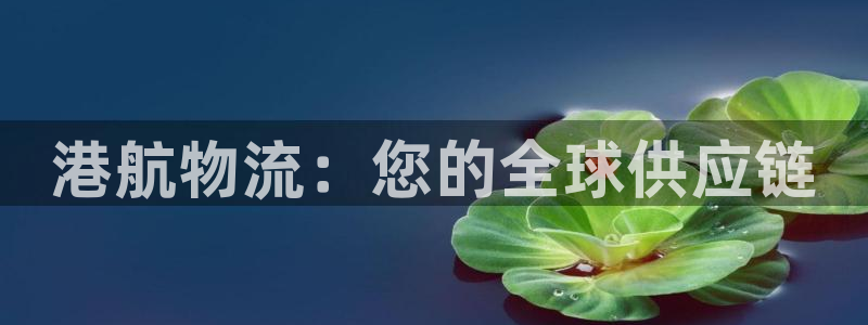 28圈大神预测：港航物流：您的全球供