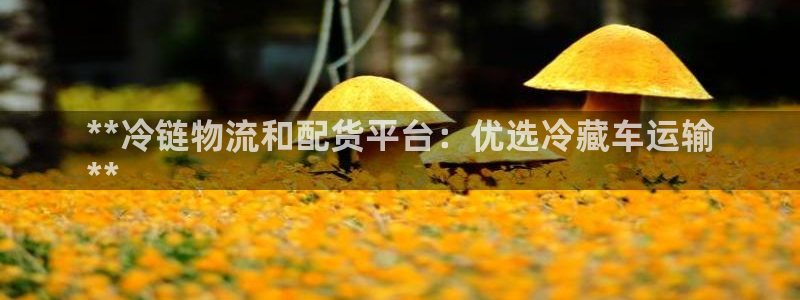 28圈下载体育：**冷链物流和配货平