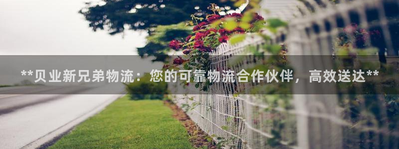 28圈怎么注册账号：**贝业新兄弟物