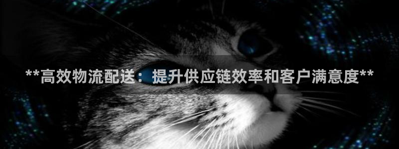 28圈口：**高效物流配送：提升供应