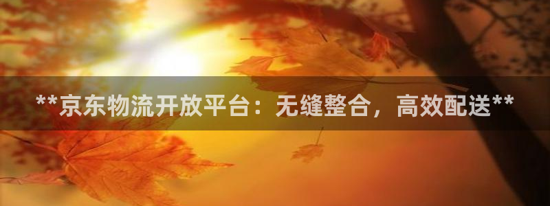 28圈充值不处理：**京东物流开放平