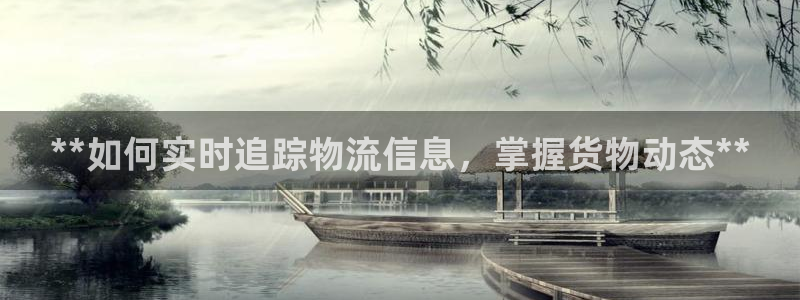 28圈充值方式：**如何实时追踪物流