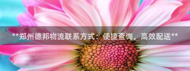 28圈注册送：**郑州德邦物流联系方