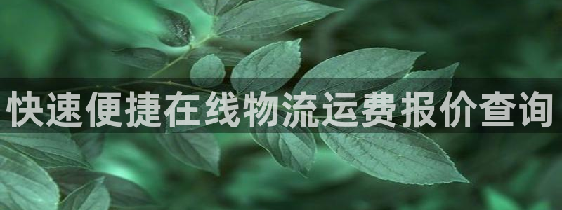28圈相信品牌的力量：快速便捷在线物