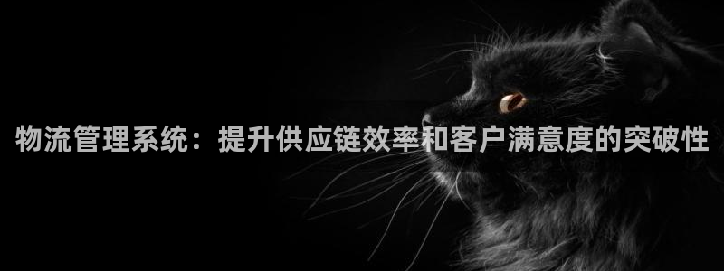 28圈充值不到账什么原因：物流管理系