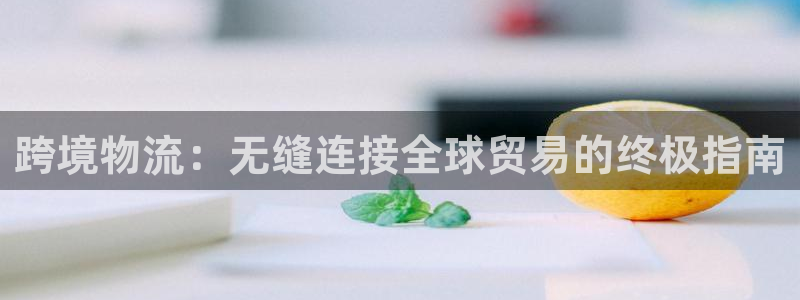 28圈注册网址：跨境物流：无缝连接全