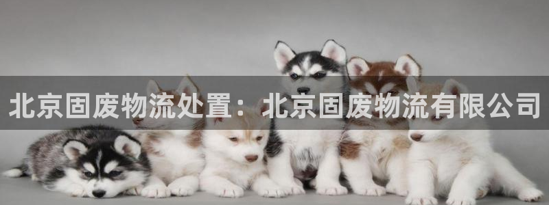 28圈初始资金密码在哪里改：北京固废
