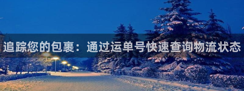 28圈怎么注册游戏名字：追踪您的包裹