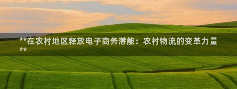 28圈是啥：**在农村地区释放电子商