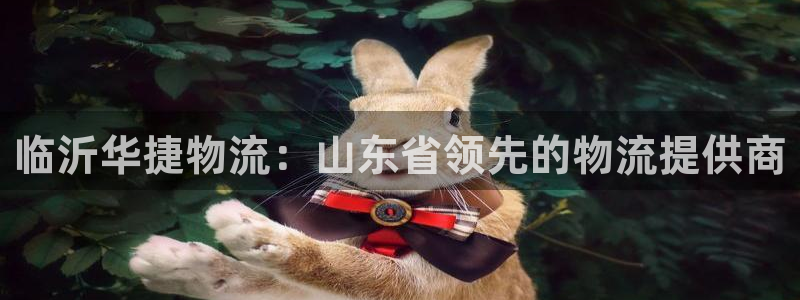 28圈最稳打法：临沂华捷物流：山东省领先的物流提供商