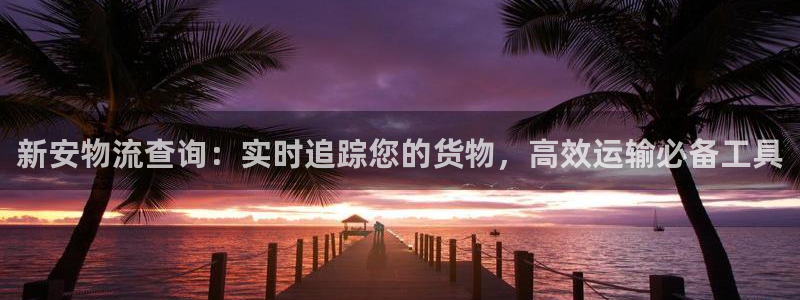 28圈加拿大预测：新安物流查询：实时