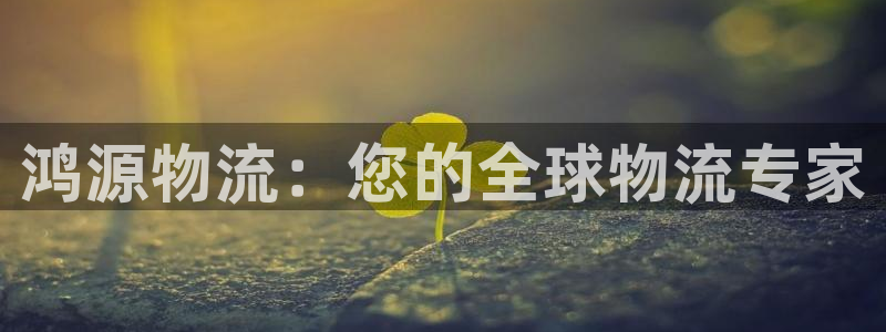 28圈二维码：鸿源物流：您的全球物流