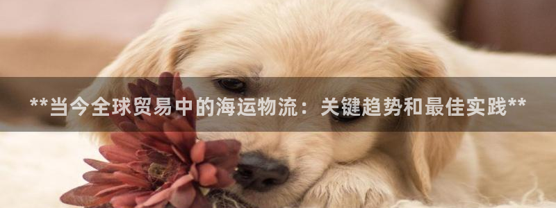 28圈预测：**当今全球贸易中的海运