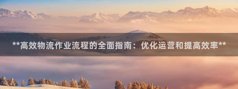 28圈返水怎么算的：**高效物流作业