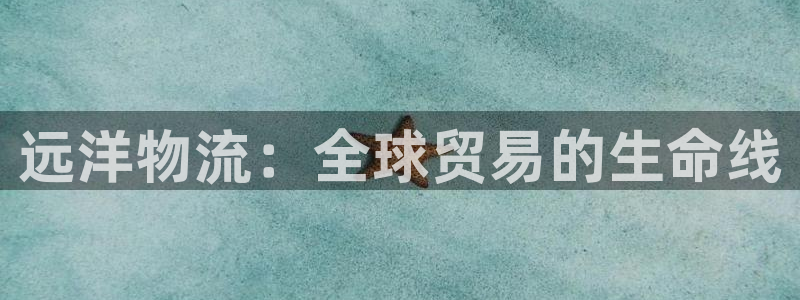 28圈官网网站：远洋物流：全球贸易的