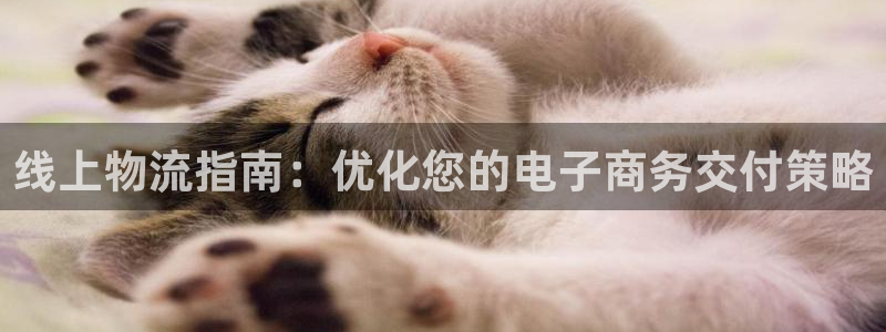 28圈加拿大是什么意思：线上物流指南
