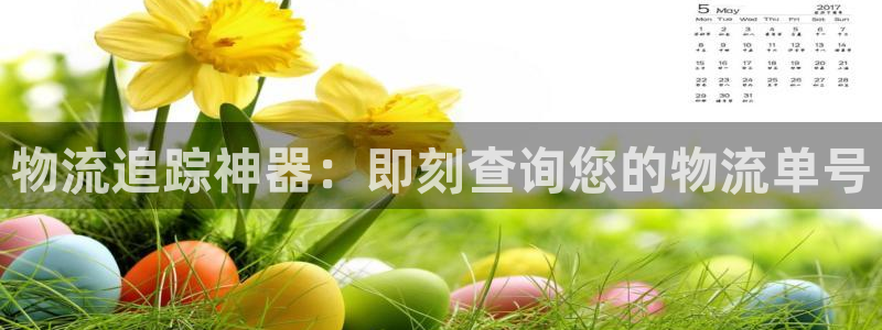 28圈.ccm：物流追踪神器：即刻查