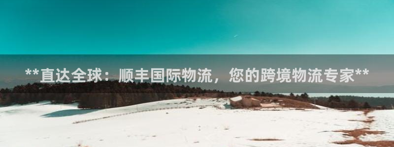28圈软件：**直达全球：顺丰国际物