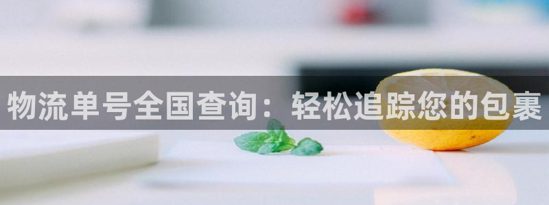 28圈玩法：物流单号全国查询：轻松追