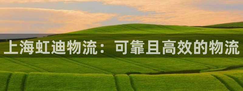 28圈注册网站：上海虹迪物流：可靠且