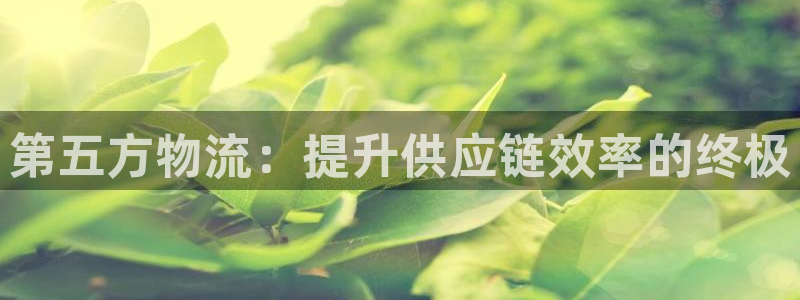 28圈反水：第五方物流：提升供应链效