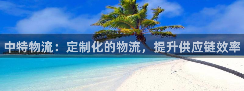 28圈注册登录链接流程：中特物流：定