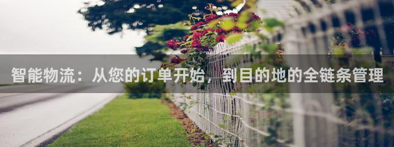 28圈加拿大技巧