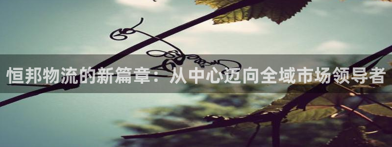28圈那个才是充值账号