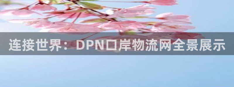 28圈反水