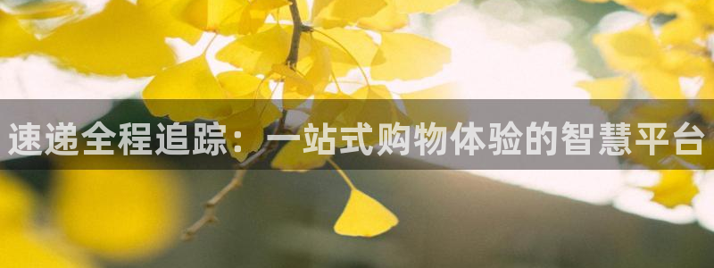 28圈链接：速递全程追踪：一站式购物体验的智慧平台