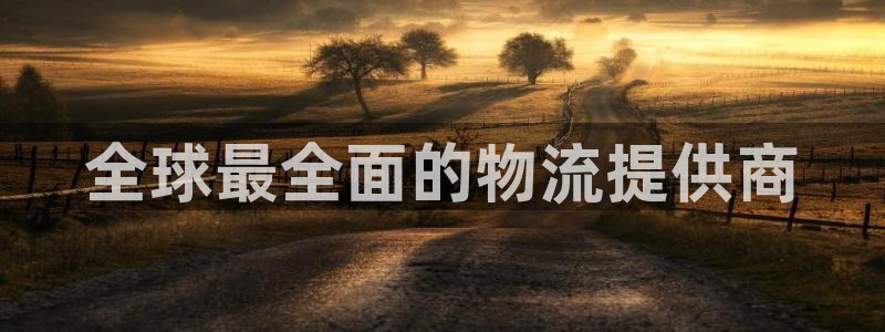 28圈p扣除：全球最全面的物流提供商