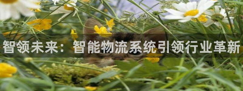 28圈在线预测官网：智领未来：智能物